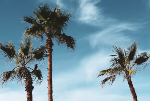Experience Opulence: The Top Luxury Hotels in Los Angeles